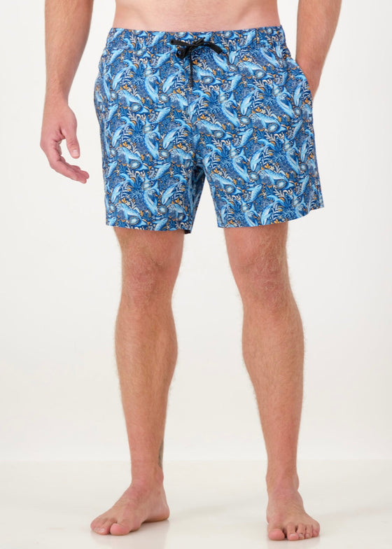 New Swim Shorts - Aqua Pod