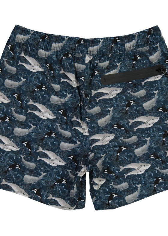 NEW Swim Shorts – Tidal Whales