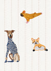 PRE-ORDER Pilates Pets Pug in Oat colour Grip Socks